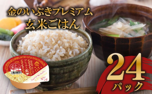 玄米ごはんパック 120g 24個 玄米 米 お米 ごはん ご飯 こめ パックライス パックご飯 パックごはん ご飯パック ごはんパック パック ライス 備蓄 保存 非常 防災 電子 レンジ 温めるだけ レンチン 簡単 健康 ダイエット 美容 ヘルシー 24 24食 レトルト インスタント おいしい 人気 おすすめ 金のいぶき 大阪府 松原市 1550911 - 大阪府松原市