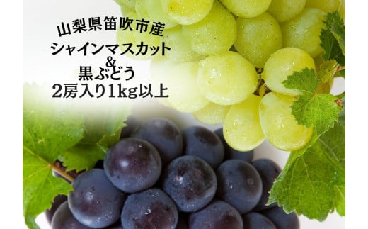 ＜25年発送先行予約＞笛吹市産旬の葡萄２房入り２色セット 1kg以上 167-142