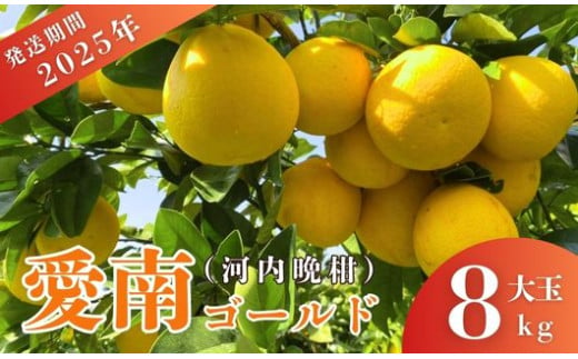 先行予約 2025年発送 愛南ゴールド(河内晩柑)大玉 約8kg みかん 蜜柑 河内晩柑 グレープフルーツ 柑橘 果物 フルーツ 前田ファーム 愛媛 愛南 [発送期間 3月下旬〜5月上旬 ](なくなり次第終了)