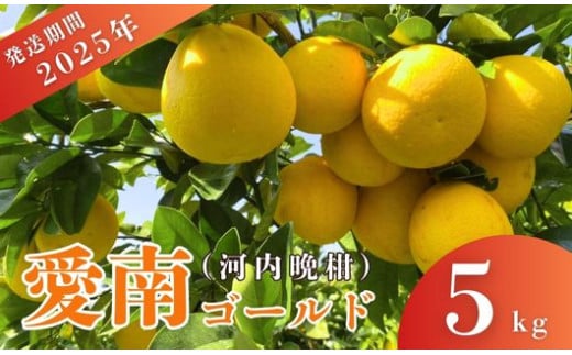 先行予約 2025年発送 愛南ゴールド(河内晩柑)約5kg みかん 蜜柑 河内晩柑 グレープフルーツ 柑橘 果物 フルーツ 前田ファーム 愛媛 愛南 [発送期間 3月下旬〜5月上旬 ](なくなり次第終了)