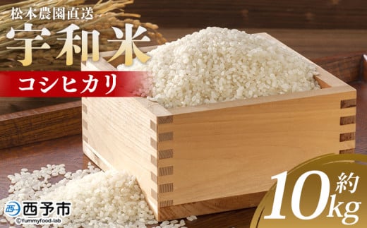 [令和6年産 松本農園直送 宇和米(コシヒカリ)約10kg] こしひかり 米 コメ こめ 白米 精米 うわまい ウワマイ ご飯 新鮮 10キロ お弁当 朝 昼 夜 国産 特産品 愛媛県 西予市[常温]