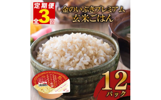 定期便 3回 玄米ごはんパック 120g 12個 玄米 米 お米 ごはん ご飯 こめ パックライス パックご飯 パックごはん ご飯パック ごはんパック パック ライス 備蓄 保存 非常 防災 電子 レンジ 温めるだけ レンチン 簡単 健康 ダイエット 美容 ヘルシー 12 12食 レトルト インスタント おいしい 人気 おすすめ 金のいぶき 大阪 松原