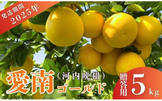 先行予約 2025年発送 贈答用 愛南ゴールド(河内晩柑)約5kg みかん 蜜柑 河内晩柑 グレープフルーツ 柑橘 果物 フルーツ 前田ファーム 愛媛 愛南 [発送期間 3月下旬〜5月上旬 ](なくなり次第終了)