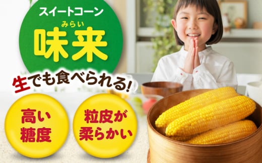  とうもろこし トウモロコシ 季節の野菜 夏野菜 北海道 野菜 先行予約