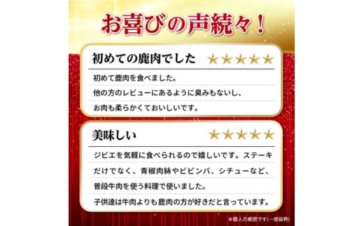 北海道稚内市のふるさと納税 鹿ざんまい ジビエ 贅沢豪華10点セット 計2.8kg_ 肉 お肉 焼肉 鹿肉 しか肉 北海道 稚内市 バーベキュー BBQ 人気 ふるさと 【1026710】