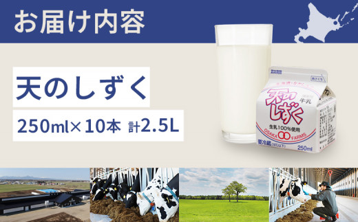 天のしずく 250ml × 10本 計 2.5L