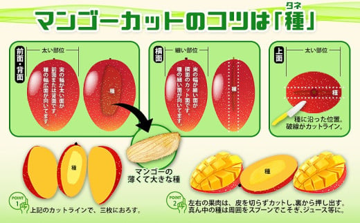 沖縄県宜野座村のふるさと納税 【2025年発送】平田果樹園のアップルマンゴー家庭用（約2kg） アーウィン 果物 甘い 夏 濃厚 ギフト Mango ランキング 完熟 お気に入り 美味しい 人気 おすすめ フルーツ 沖縄県 先行予約 食品 人気 産地直送 送料無料