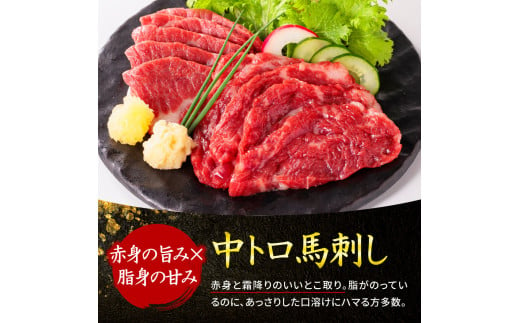 熊本県阿蘇市のふるさと納税 ★レビューキャンペーン対象返礼品★【定番】4種馬刺しセット 霜降り中トロ 上赤身 希少部位  ロース 定番人気 赤身馬刺し 専用タレ付き 小分け 2～3人前 4～6人前 小分け 詰め合わせ 馬刺し ブロック 冷凍 馬刺し 馬肉 小分け タレ付き 馬刺し お肉 熊本名物 上質 馬刺し 新鮮 お取り寄せ お祝い 馬刺し おつまみ 馬刺し 晩酌 生食用 お取り寄せ 特産品 熊本県 阿蘇市