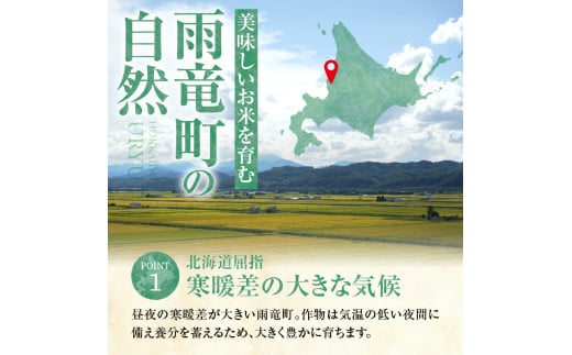 北海道雨竜町のふるさと納税 令和6年産 うりゅう米 ゆめぴりか 無洗米 5kg（5kg×1袋） お米 米 ごはん ご飯 特A 新米 単一原料米 お弁当 国産 人気 おすすめ kome 年内発送 雨竜町