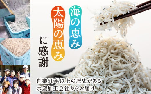 愛知県南知多町のふるさと納税 しらす 2kg ( 1kg × 2箱 ) 訳あり 冷凍 ちりめん かちり しらす干し 減塩 釜揚げ ごはん 丼 パスタ チャーハン サラダ 魚 料理 愛知県 南知多町 師崎