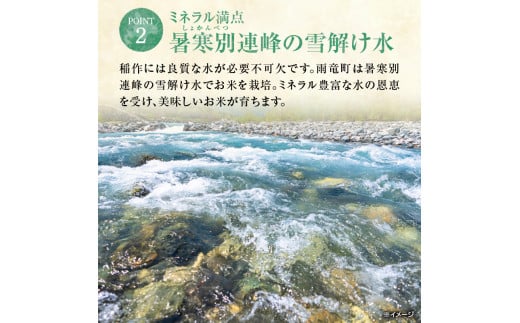 北海道雨竜町のふるさと納税 令和6年産 うりゅう米 ゆめぴりか 無洗米 5kg（5kg×1袋） お米 米 ごはん ご飯 特A 新米 単一原料米 お弁当 国産 人気 おすすめ kome 年内発送 雨竜町