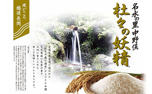 43-11杜々の妖精コシヒカリ10kg（5kg×2袋）全国名水百選栃尾産 - 新潟県長岡市｜ふるさとチョイス - ふるさと納税サイト