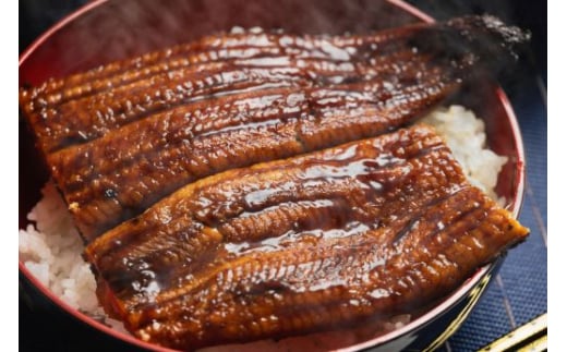 高知県香南市のふるさと納税 うなぎ 蒲焼 200g×2尾 セット 養殖 鰻 うなぎ 蒲焼き かば焼き かばやき 惣菜 冷凍 真空パック 簡単調理 fb-0020