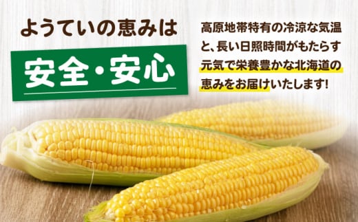  とうもろこし トウモロコシ 季節の野菜 夏野菜 北海道 野菜 先行予約