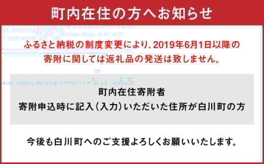 白川町の郷土料理 五平餅 セット 自家製 小分け みそだれ 白川町
