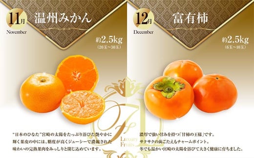 青果店チョイス!くだもの定期便Vol.6(全12回)国産 フルーツ 青果店チョイス!くだもの定期便Vol.6(全12回)国産 フルーツ