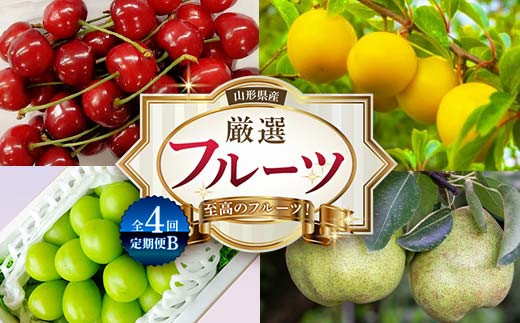 《2025年産 先行予約》山形県 至高のフルーツ！ 山形県産 厳選フルーツ定期便B 全4回 FSY-2140