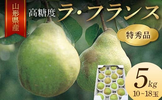 《2025年産 先行予約》山形県産 高糖度 ラ・フランス 5kg 10～18玉 特秀品 FSY-2135