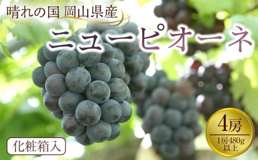 ぶどう 2025年先行予約 岡山県産 ニューピオーネ4房(1房480g以上) 1329072 - 岡山県岡山市