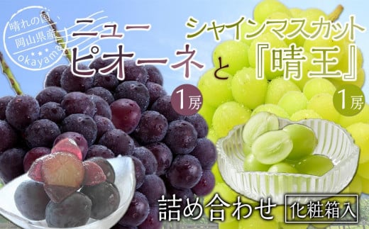 ぶどう 2025年先行予約 岡山県産 詰合/ニューピオーネ1房(480g以上)・シャインマスカット『晴王』1房(480g以上) 化粧箱入り 1329083 - 岡山県岡山市