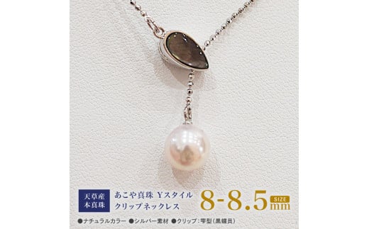 S101-384_あこや真珠 ホワイトピンク 8mm - 8.5mm 1粒 ネックレス クリップ Yスタイル SV シルバー ボールチェーン 真珠 白蝶貝 黒蝶貝 【D：黒蝶貝】 1556213 - 熊本県天草市