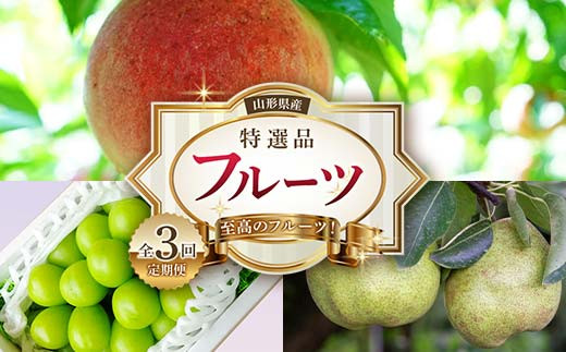 《2025年産 先行予約》山形県 至高のフルーツ！ 山形県産 特選品フルーツ定期便 全3回 FSY-2143