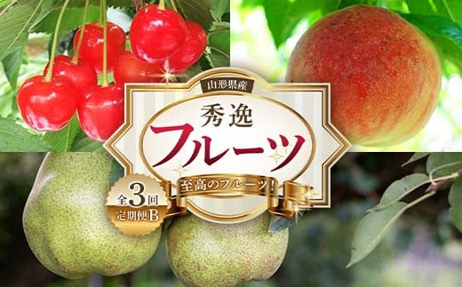 《2025年産 先行予約》山形の至高！山形県産 秀逸フルーツ定期便B 全3回 FSY-2137