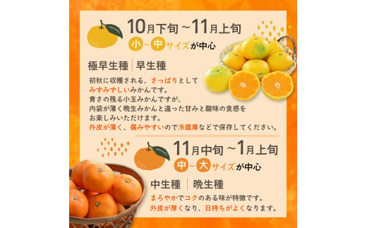 かねひろの黒酢みかん 【2023年 第1位ふるさとチョイス みかん 部門】10.3kg 2S～2L 新鮮 黒酢 アミノ酸 みかん 蜜柑 ミカン 柑橘  果実 フルーツ 人気 おすすめ 10kg 佐賀県 太良町 N77 - 佐賀県太良町｜ふるさとチョイス - ふるさと納税サイト