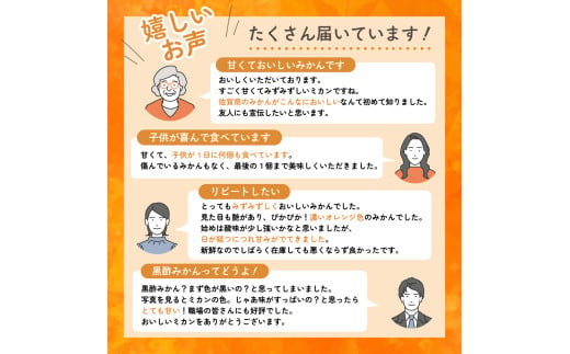 かねひろの黒酢みかん 【2023年 第1位ふるさとチョイス みかん 部門】10.3kg 2S～2L 新鮮 黒酢 アミノ酸 みかん 蜜柑 ミカン 柑橘  果実 フルーツ 人気 おすすめ 10kg 佐賀県 太良町 N77 - 佐賀県太良町｜ふるさとチョイス - ふるさと納税サイト