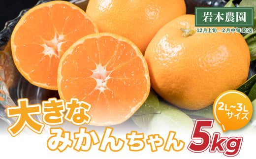 L-133 岩本農園の大きなみかんちゃん 5㎏ みかん ミカン 蜜柑 柑橘 たらみかん 太良みかん 温州みかん 完熟みかん 国産 佐賀県産 太良町 こだわり 産地直送 贈答品 詰め合わせ セット 大玉 甘熟 極甘 419388 - 佐賀県太良町