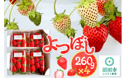 《2025年1月以降発送》関東限定配送 イチゴ よつぼし 約260gパック×4