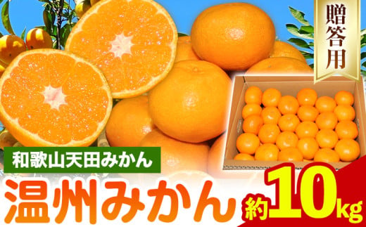 濃厚温州みかん 贈答用 約10kg 和歌山天田みかん 北村農園 《11月下旬-1月中旬頃出荷》和歌山県 日高町 送料無料 みかん 蜜柑 柑橘 果物