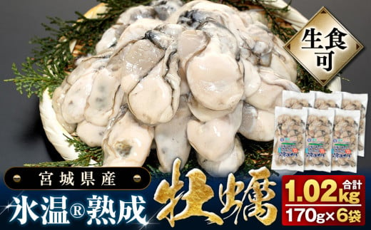 【 先行予約 】 生食用 牡蠣 宮城県産 氷温熟成 （冷凍）170g×6袋 約1kg / 小分け 冷凍 バラバラ冷凍  かき 牡蠣 2025年3月中旬から順次発送予定 849647 - 宮城県石巻市