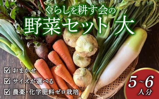 丸山農園の野菜セット 大セット 5~6人用 おまかせ 6～8品目 無農薬 くらしを耕す会 野菜 やさい サラダ 健康 人参 玉ねぎ 大根 野菜 やさい サラダ 健康 人参 玉ねぎ 大根 野菜 やさい サラダ 健康 人参 玉ねぎ 大根 野菜 やさい サラダ 健康 人参 玉ねぎ 大根 野菜 やさい サラダ 健康 人参 玉ねぎ 大根 ふるさと納税野菜 ふるさと納税サラダ 愛知県 南知多町 1552392 - 愛知県南知多町