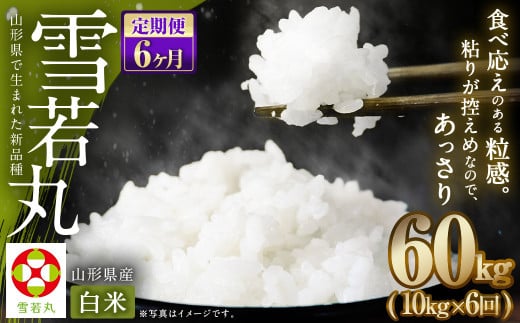 【6ヶ月定期便】【令和6年産新米】〈白米〉 雪若丸 10kg×6回 山形県産 精米 993719 - 山形県白鷹町