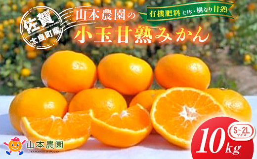 N-29 山本農園の甘熟みかん 10kg　みかん ミカン 蜜柑 温州みかん 完熟みかん 甘熟 国産 佐賀県産 太良町 こだわり プレミアム 贈答品 産地直送 有機栽培 詰め合わせ
