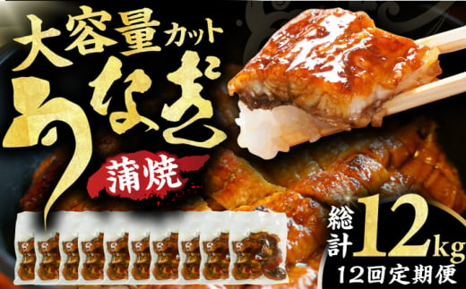 【12回定期便】中国産ニホンウナギ　大容量刻み鰻個食パック 計1kg（100g×10P） 広川町 / イールファクトリー株式会社 [AFBS004]