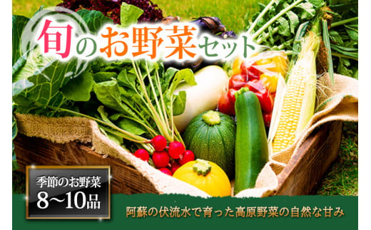 ★レビューキャンペーン対象返礼品★＜畑から直送＞季節のお野菜セットをお届け！【Lサイズ】旬のお野菜の中から8～10品を厳選♪ 野菜 新鮮 野菜セット 農家直送 産地直送 野菜 厳選 こだわり 朝採れ 採れたて フレッシュ サラダ 高原野菜 果物 フルーツ 甘い 詰め合わせ おまかせ 大地の恵み 贈り物 ギフト 便利 食卓 家族 主婦 料理 お弁当 人気 おすすめ お取り寄せ 野菜 熊本県 阿蘇市 1420014 - 熊本県阿蘇市