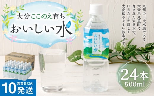 【10営業日以内発送】大分 ここのえ育ち おいしい 水 500ml×24本 1285863 - 大分県九重町