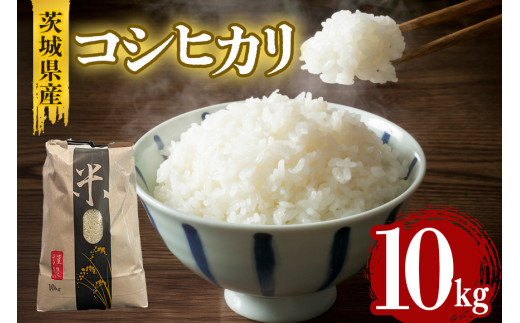 茨城県産コシヒカリ 10kg 数量限定 こしひかり コシヒカリ 米 白米 茨城県産 お弁当 おにぎり 41-I