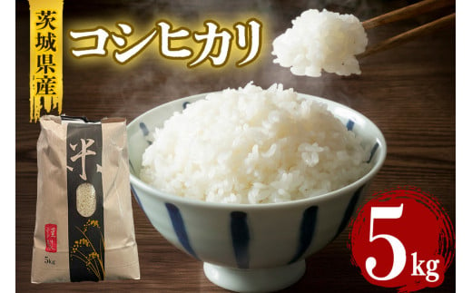 茨城県産コシヒカリ 5kg 数量限定 こしひかり コシヒカリ 米 白米 茨城県産 お弁当 おにぎり 41-H