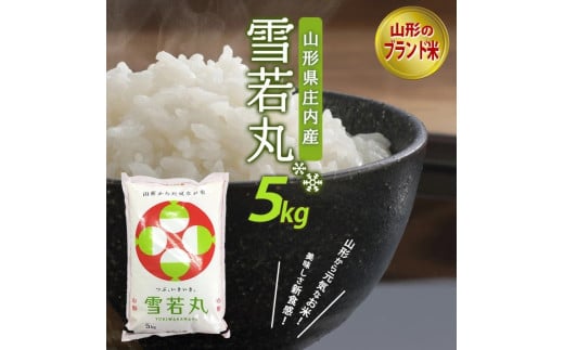 SA2456　令和6年産【精米】雪若丸　5kg×1袋 AB