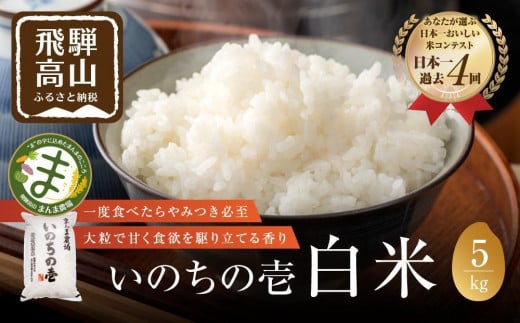 【12月配送】【令和6年度産 新米】 お米 いのちの壱 5kg 白米 特別栽培米 | 金賞受賞農家 品種別金賞 日本一 ４度受賞 飛騨 まんま農場 LT003VC12 1552956 - 岐阜県高山市