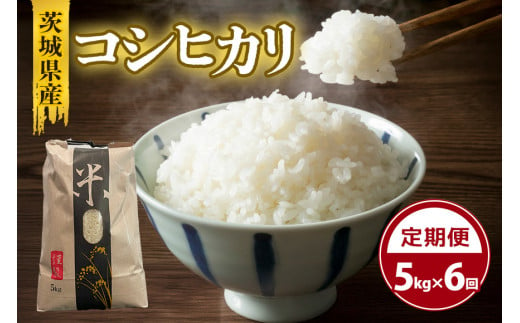 【定期便】茨城県産コシヒカリ 5kg×6回 数量限定 定期便 こしひかり コシヒカリ 米 白米 茨城県産 お弁当 おにぎり 41-J