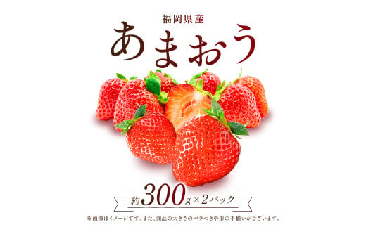 【赤村限定】 福岡県ブランドいちご“あまおう” 農家直送【300g×2パック】 ふるさと納税 あまおう ブランドいちご フルーツ 果物 旬 イチゴ 苺 福岡県産 送料無料 ふるさと ランキング 人気 おすすめ 2Z6 432008 - 福岡県赤村