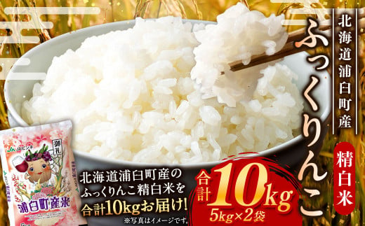 〈令和6年産〉浦臼産 ふっくりんこ 精白米 10kg （5kg×2袋） お米 米 ブランド米 北海道産 北海道 浦臼町 212391 - 北海道浦臼町