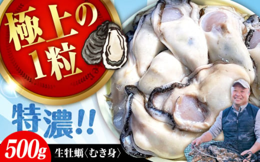 牡蠣 むき身 かき カキ 高品質の牡蠣を産地直送！ 【生牡蠣】【着日指定可能】 『てつまるかき』 牡蠣 むき身 500g 加熱用 かき 海鮮 海産物 簡単 広島県産 江田島市/有限会社テツマル海産 [XCO001]