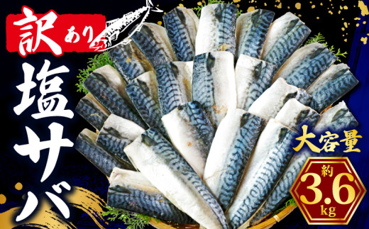 訳あり 塩さば フィレ 約3.6kg 鯖 ｻﾊﾞ 塩さば 塩鯖 切り身 切身 魚 海鮮 魚介 おつまみ おかず 惣菜 弁当 冷凍 大容量 人気 不揃い 規格外 傷 食品 冷凍 冷凍食品 グルメ 贈答 贈物 ギフト 長期保存 小分け お取り寄せ BBQ ふるさと納税 11000 11000円 千葉県 銚子市 辻野 1279585 - 千葉県銚子市