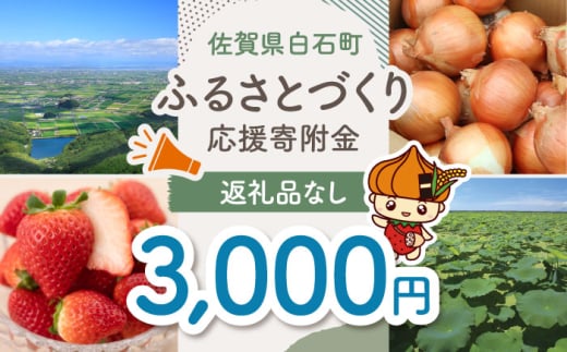 【返礼品なし】佐賀県白石町 ふるさとづくり応援寄附金（3,000円分） [IZY004]