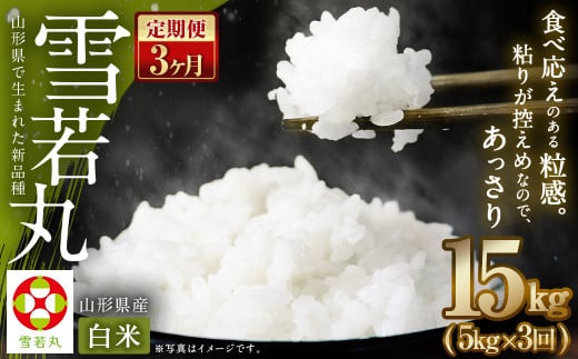 【3ヶ月定期便】【令和6年産新米】〈白米〉 雪若丸 5kg×3回 山形県産 (5kg袋小分け) 精米 1025286 - 山形県白鷹町